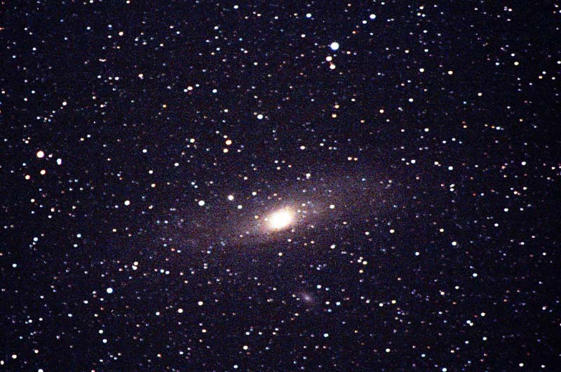 M31