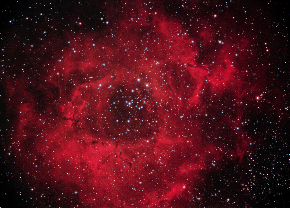 rosette.jpg (120 kbytes)