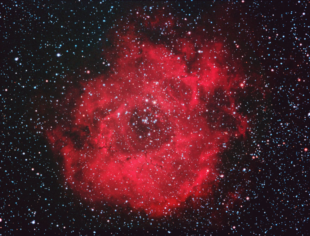 rosettew.jpg (234748 bytes)